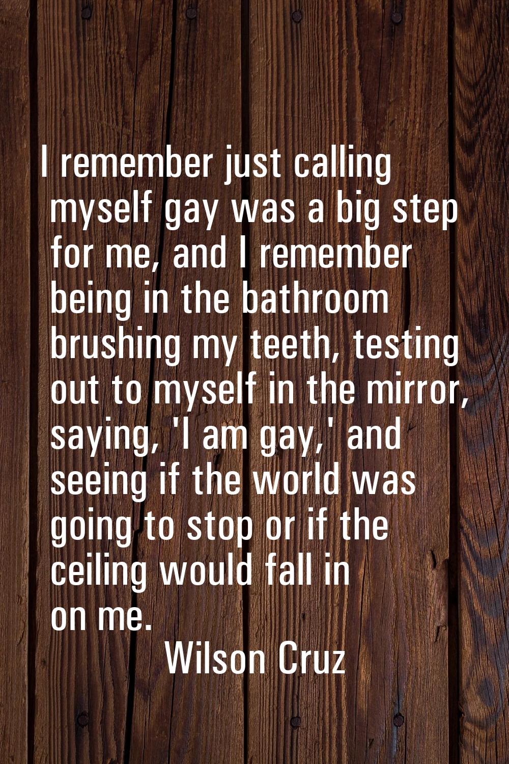 I remember just calling myself gay was a big step for me, and I remember being in the bathroom brus