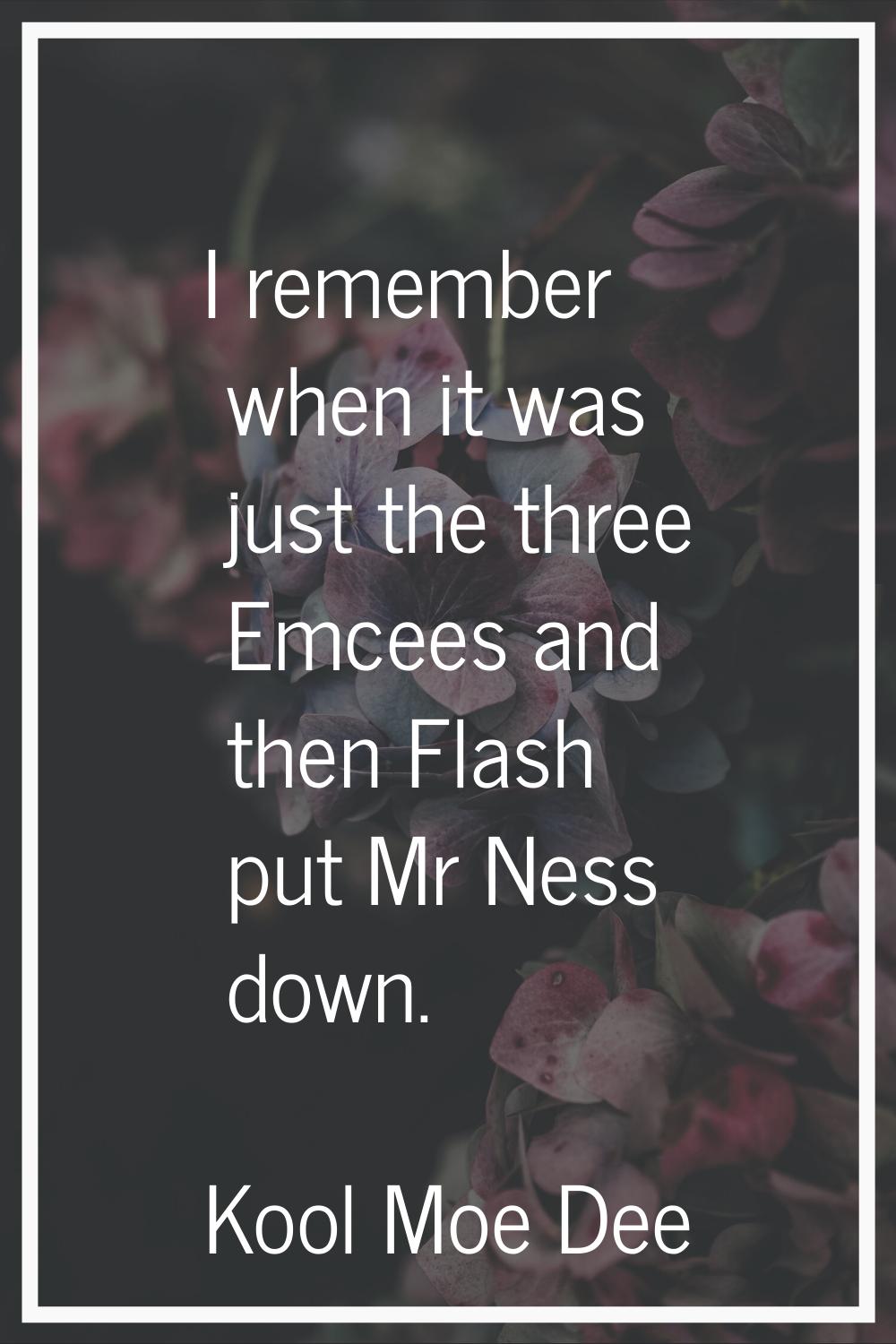 I remember when it was just the three Emcees and then Flash put Mr Ness down.