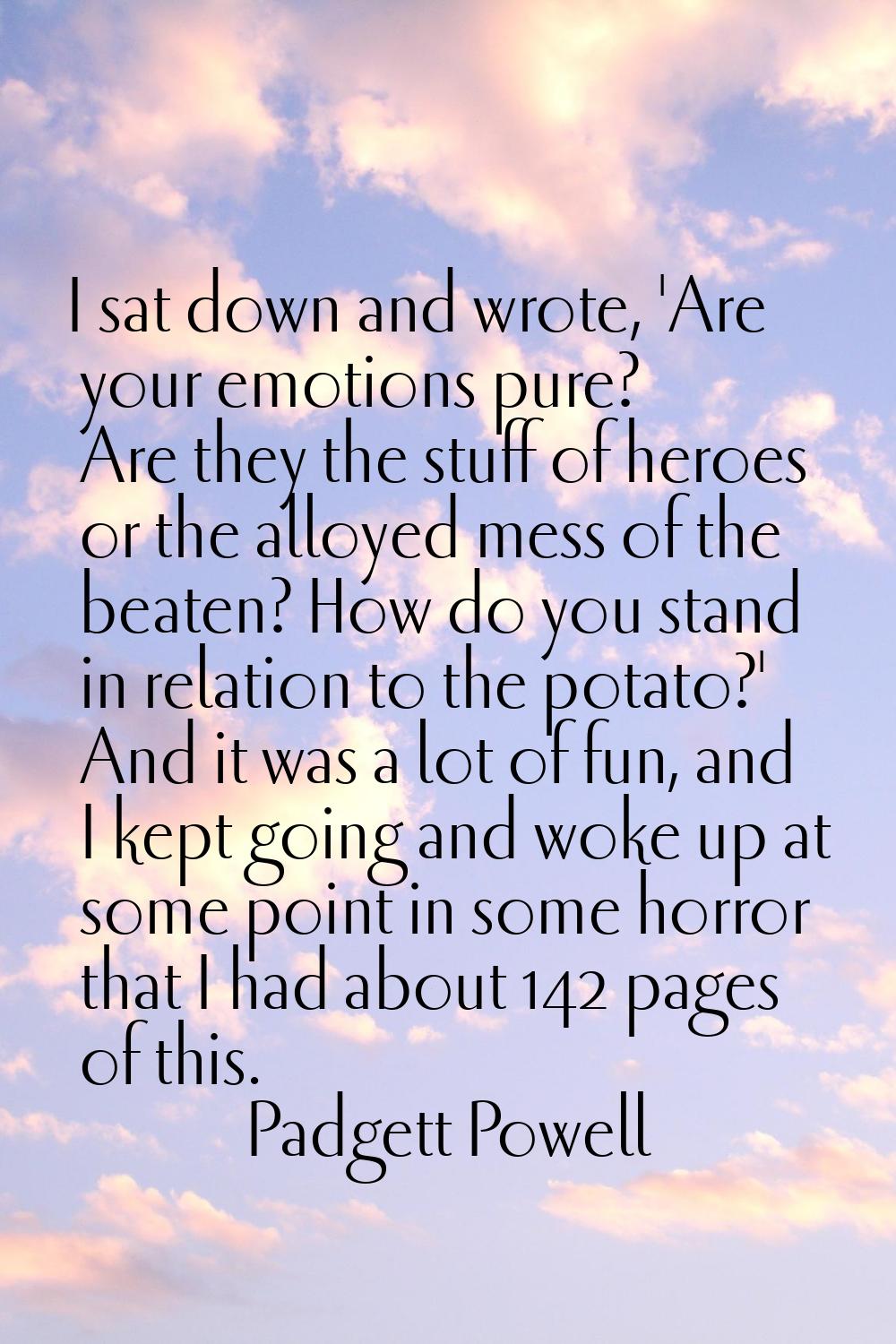 I sat down and wrote, 'Are your emotions pure? Are they the stuff of heroes or the alloyed mess of 