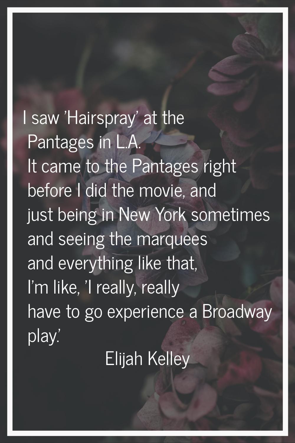 I saw 'Hairspray' at the Pantages in L.A. It came to the Pantages right before I did the movie, and