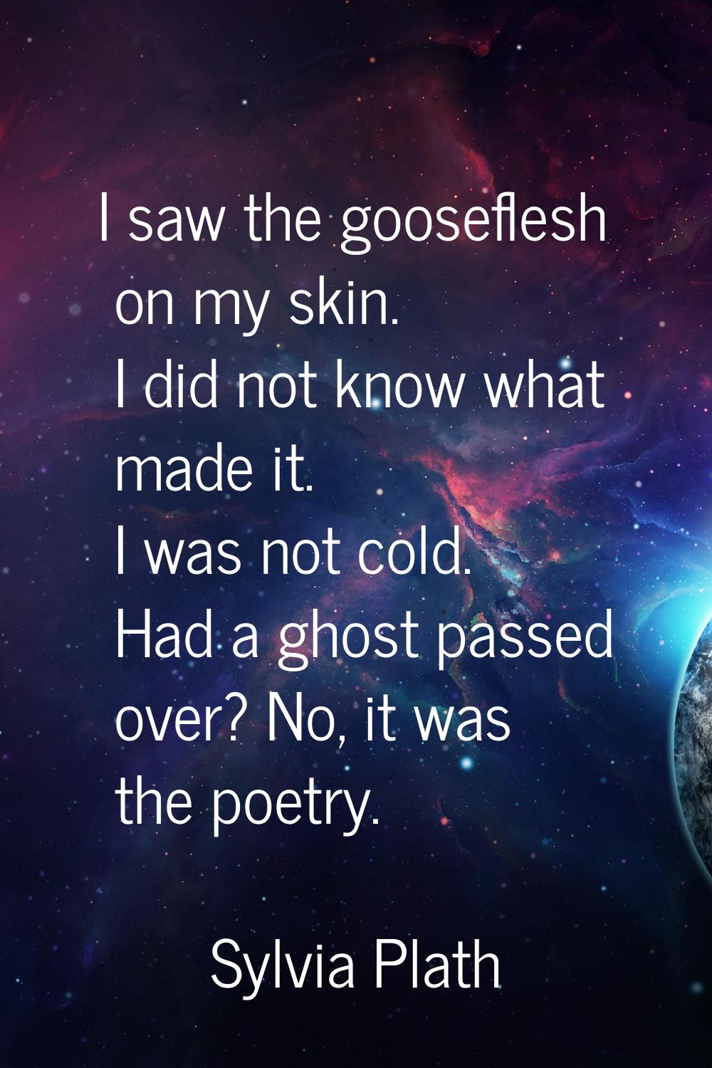 I saw the gooseflesh on my skin. I did not know what made it. I was not cold. Had a ghost passed ov