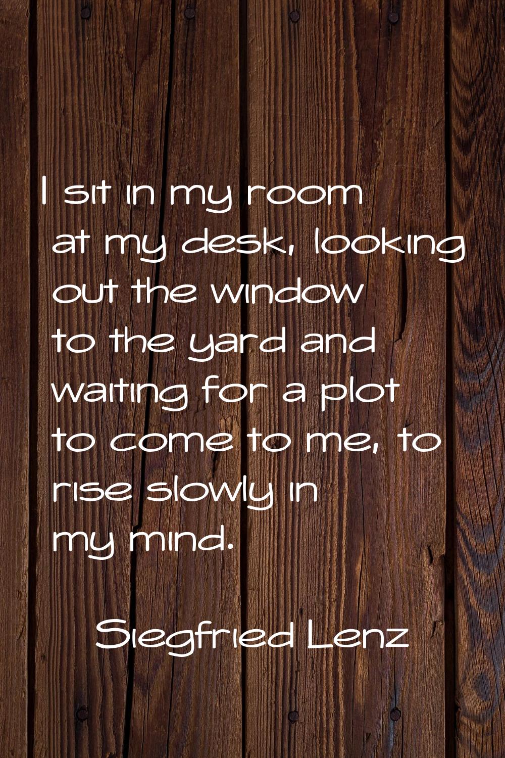 I sit in my room at my desk, looking out the window to the yard and waiting for a plot to come to m