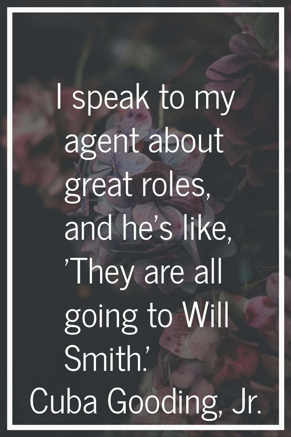 I speak to my agent about great roles, and he's like, 'They are all going to Will Smith.'