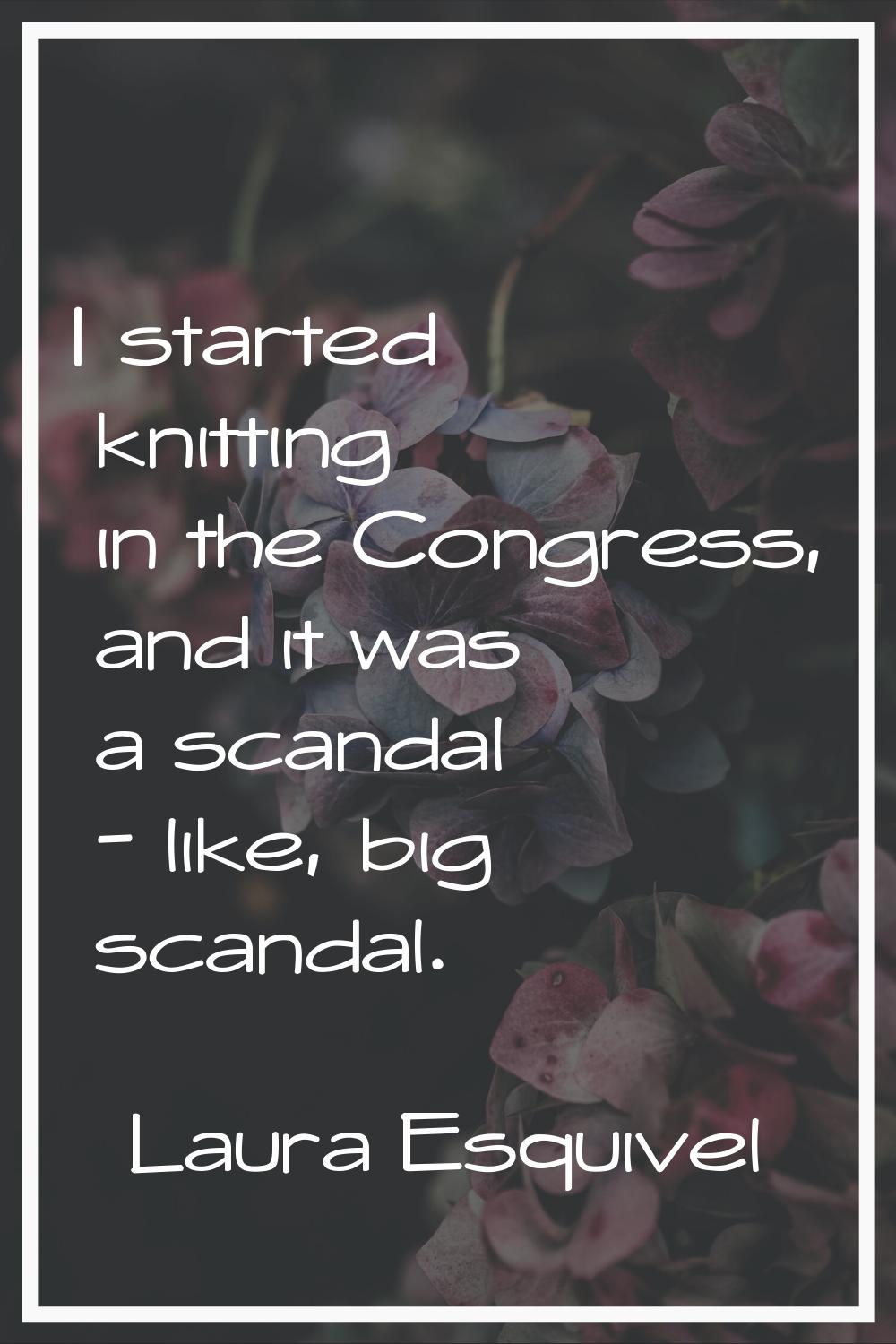 I started knitting in the Congress, and it was a scandal - like, big scandal.