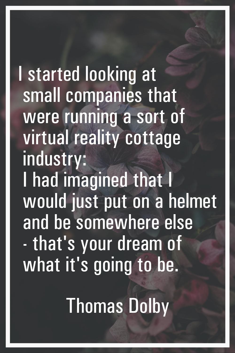 I started looking at small companies that were running a sort of virtual reality cottage industry: 
