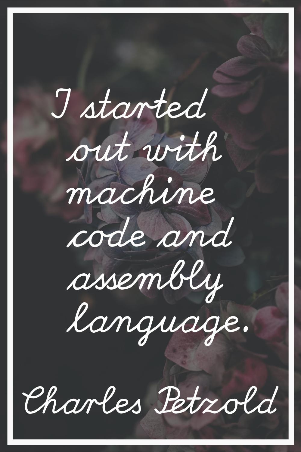 I started out with machine code and assembly language.