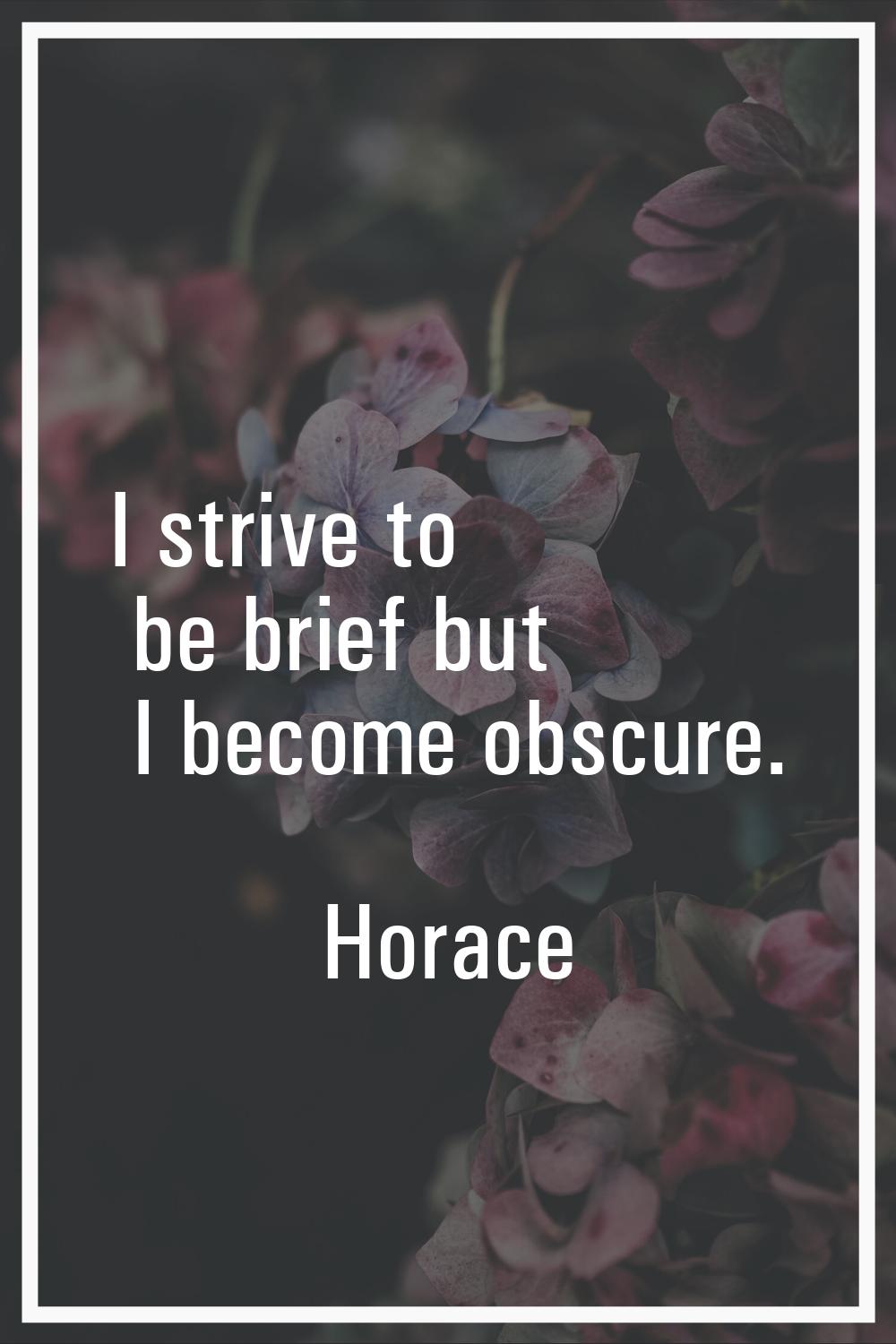 I strive to be brief but I become obscure.