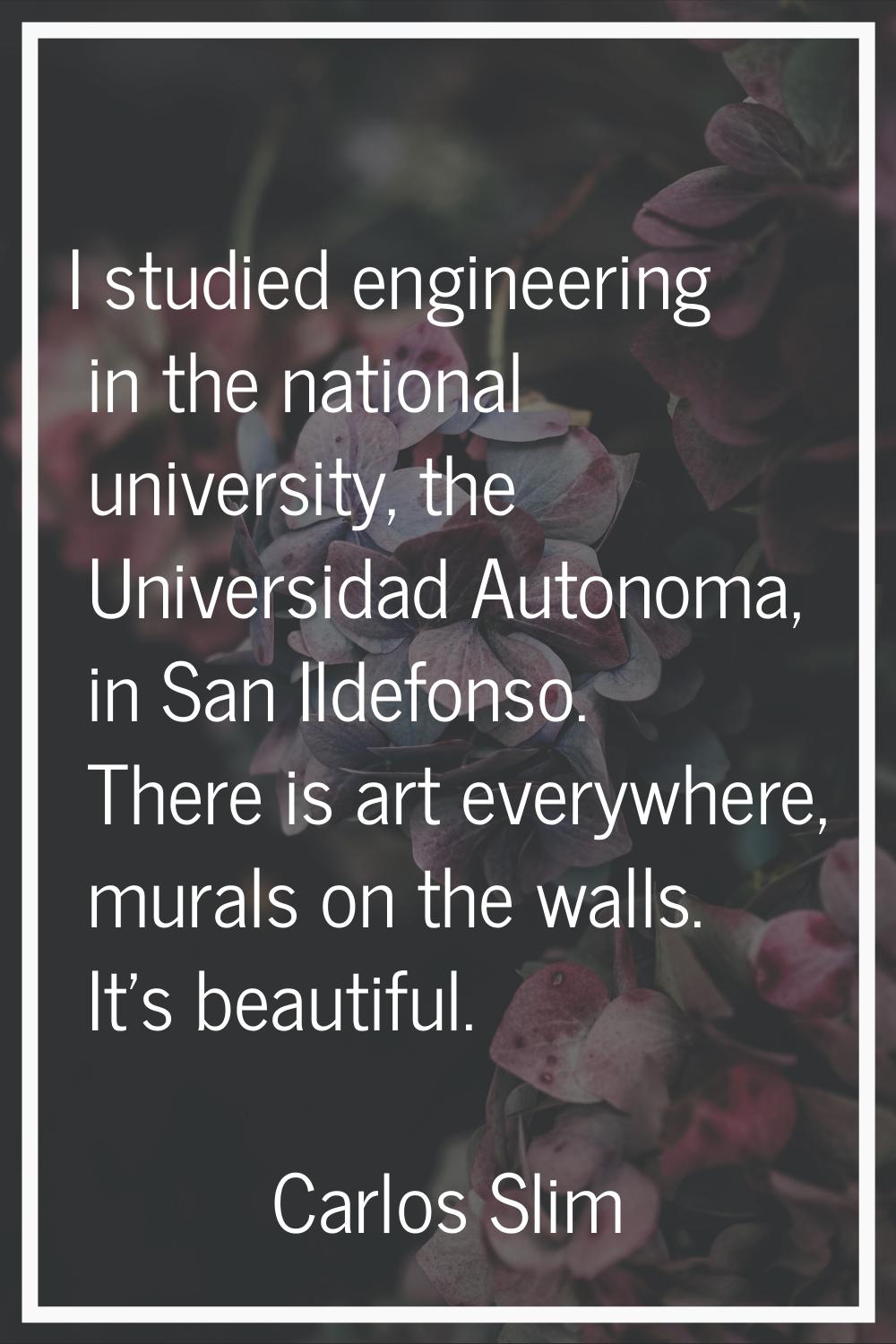 I studied engineering in the national university, the Universidad Autonoma, in San Ildefonso. There