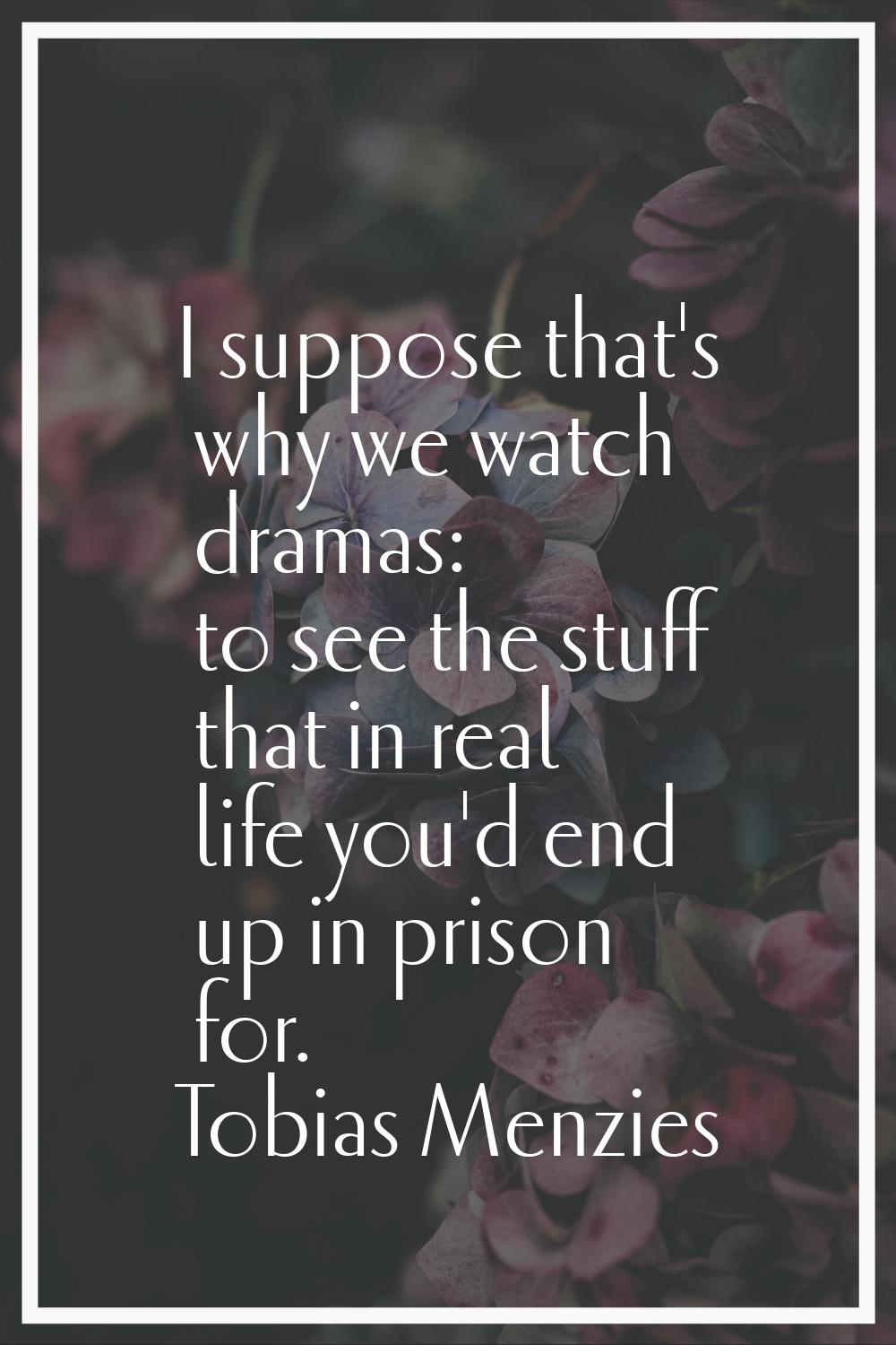 I suppose that's why we watch dramas: to see the stuff that in real life you'd end up in prison for