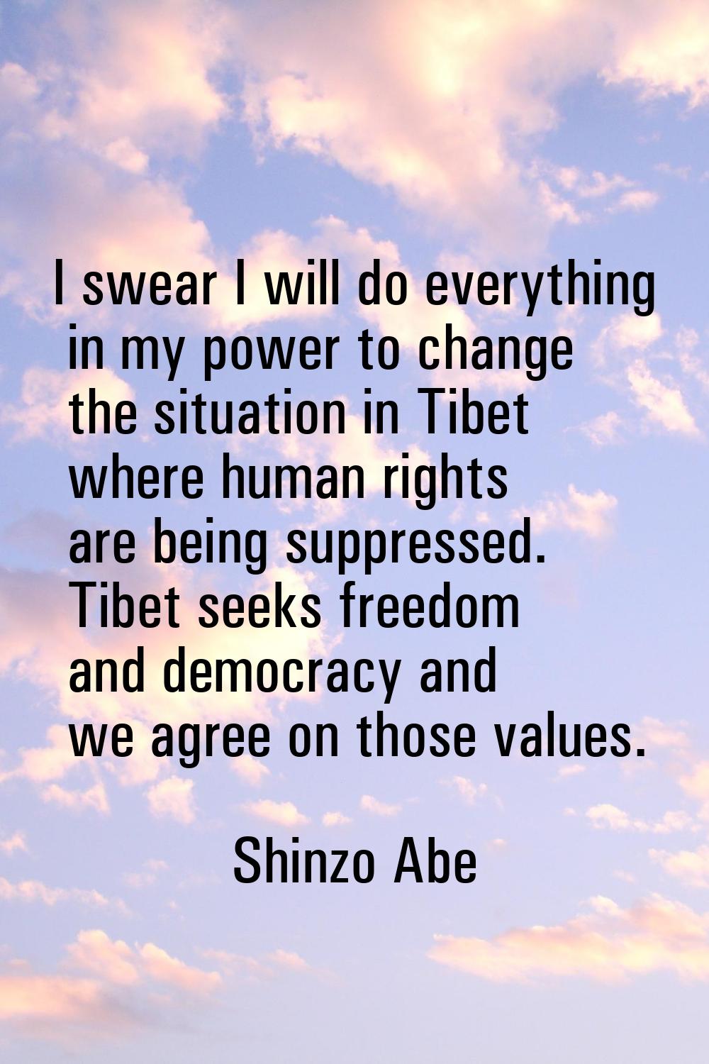 I swear I will do everything in my power to change the situation in Tibet where human rights are be