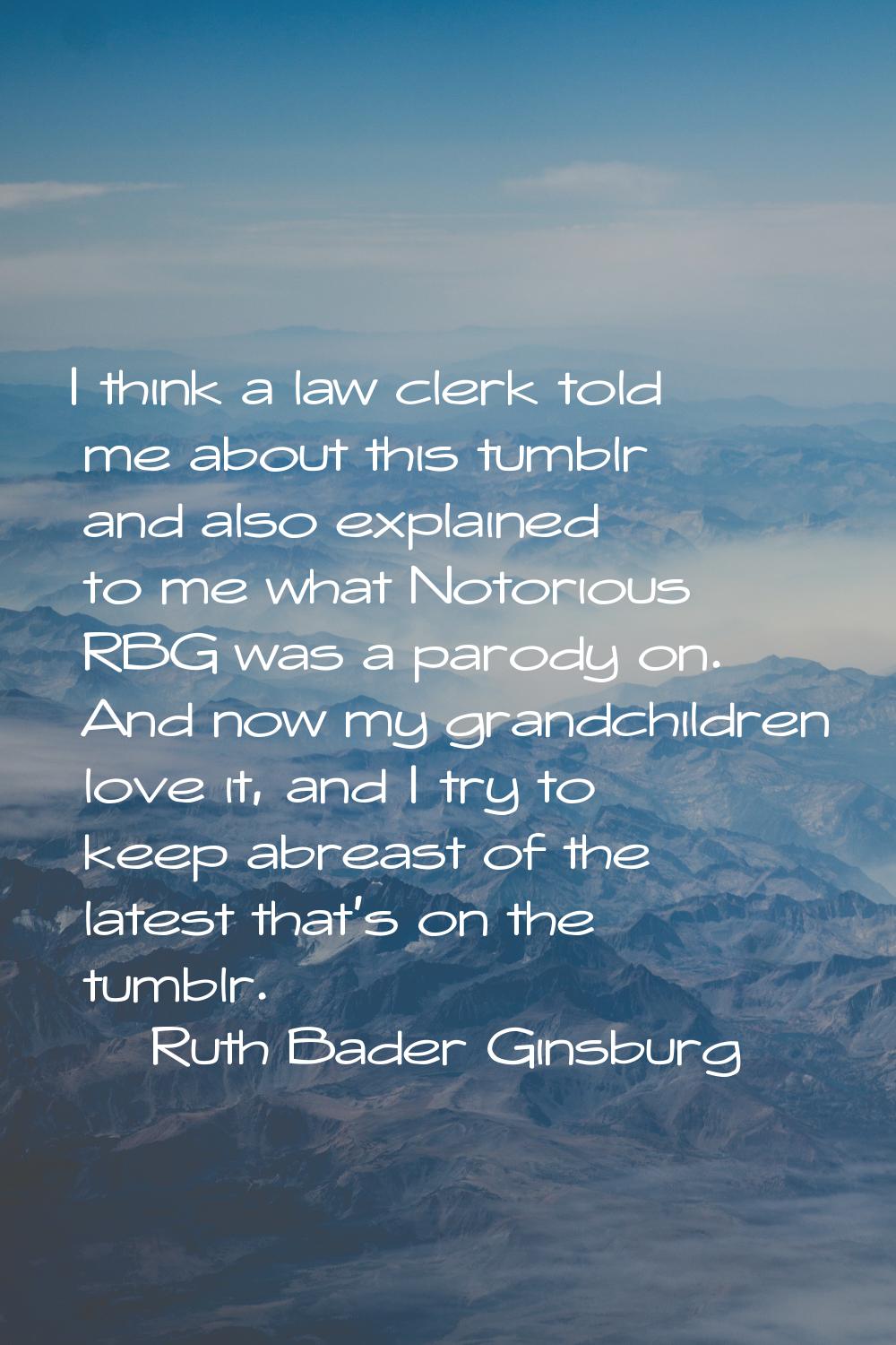 I think a law clerk told me about this tumblr and also explained to me what Notorious RBG was a par