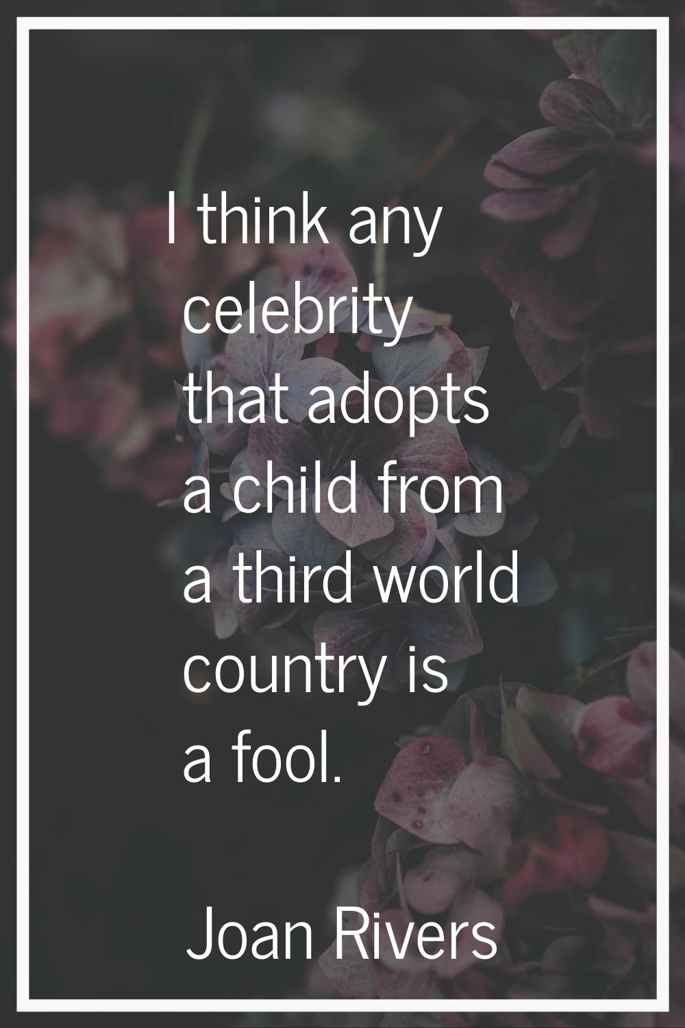 I think any celebrity that adopts a child from a third world country is a fool.