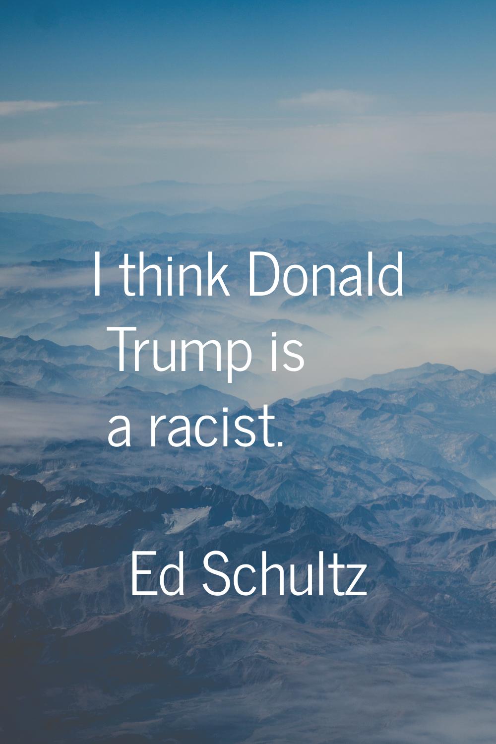 I think Donald Trump is a racist.