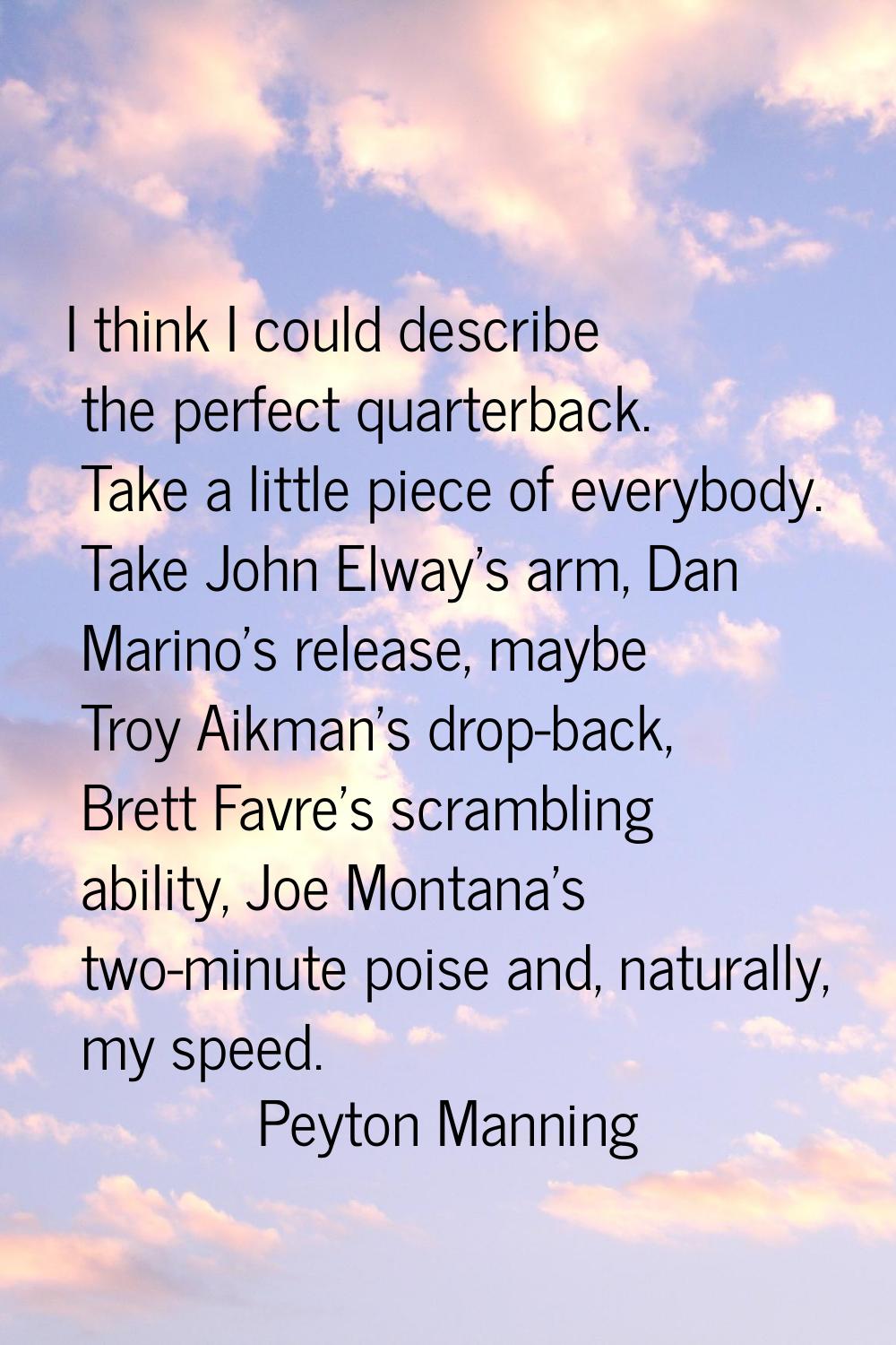 I think I could describe the perfect quarterback. Take a little piece of everybody. Take John Elway