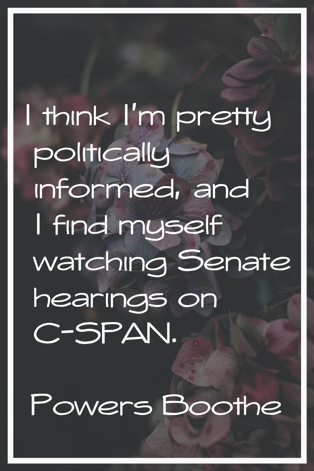 I think I'm pretty politically informed, and I find myself watching Senate hearings on C-SPAN.