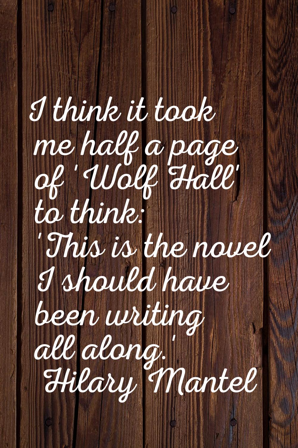 I think it took me half a page of 'Wolf Hall' to think: 'This is the novel I should have been writi
