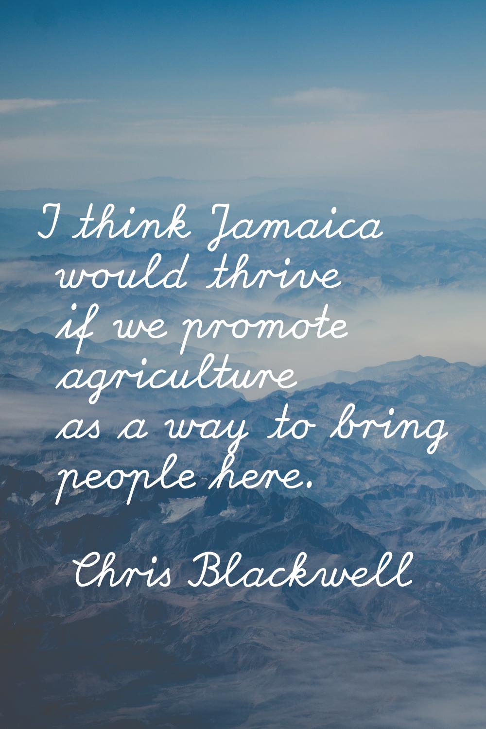 I think Jamaica would thrive if we promote agriculture as a way to bring people here.