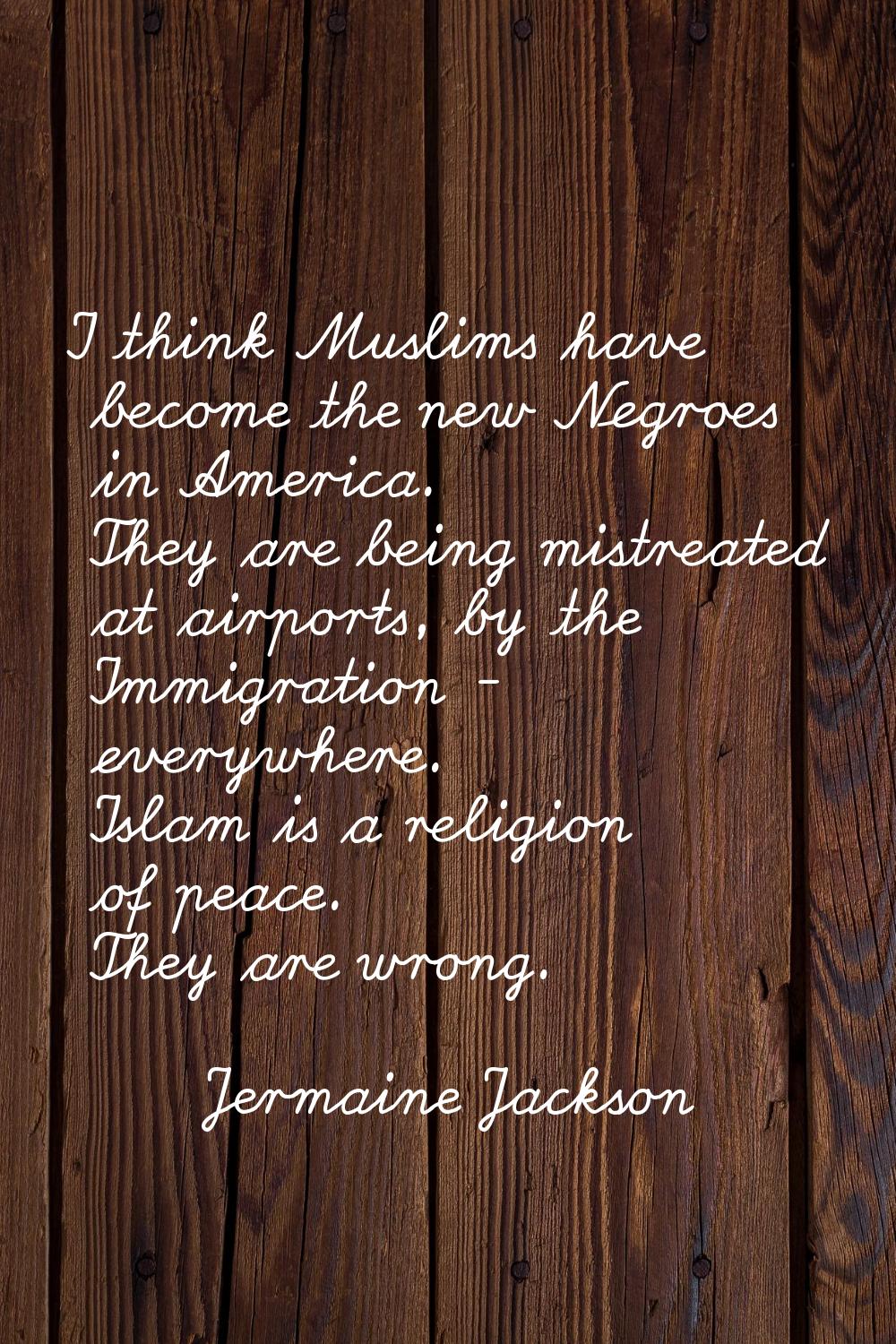 I think Muslims have become the new Negroes in America. They are being mistreated at airports, by t