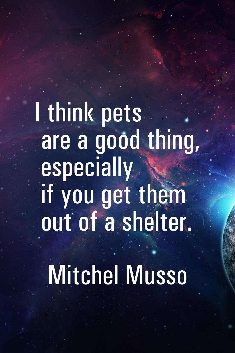 I think pets are a good thing, especially if you get them out of a shelter.