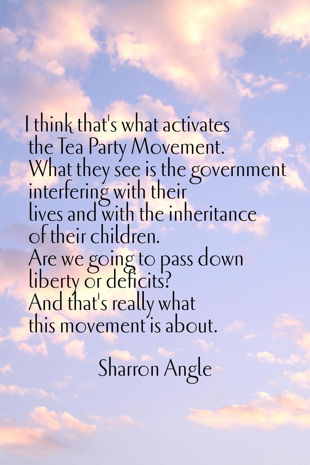 I think that's what activates the Tea Party Movement. What they see is the government interfering w