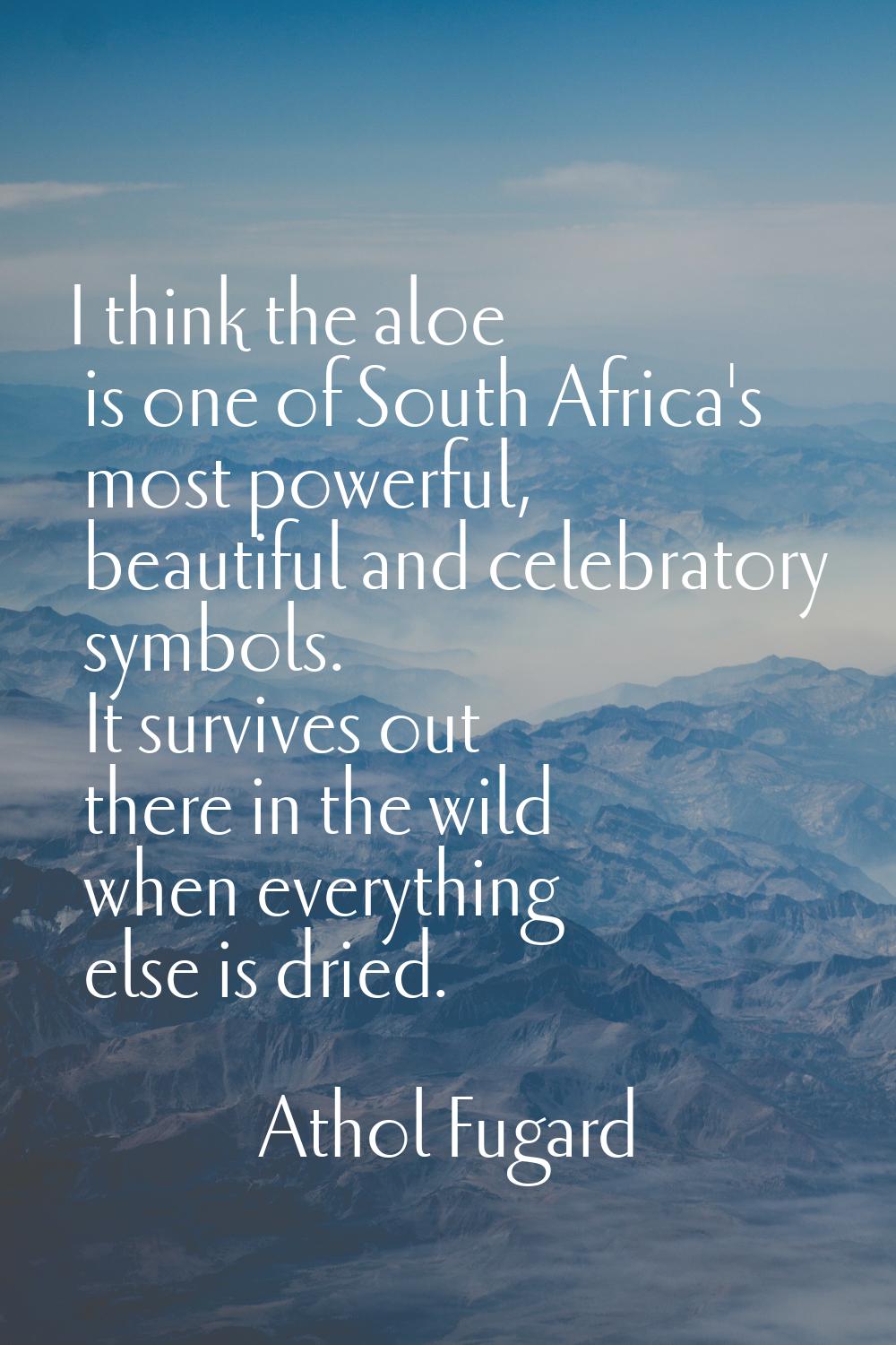 I think the aloe is one of South Africa's most powerful, beautiful and celebratory symbols. It surv