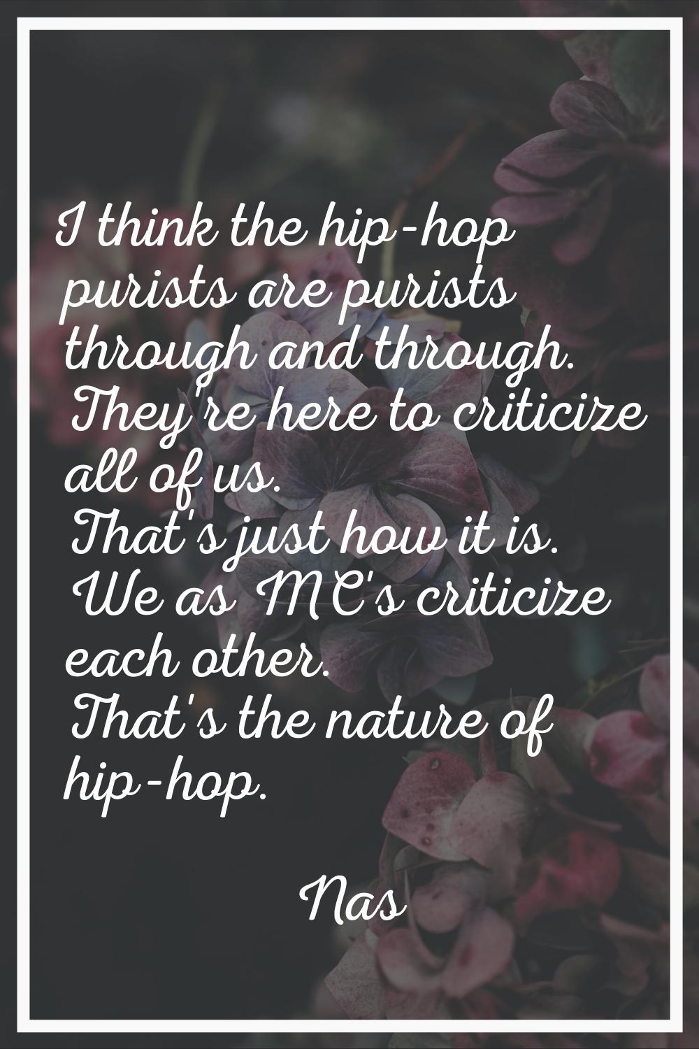 I think the hip-hop purists are purists through and through. They're here to criticize all of us. T