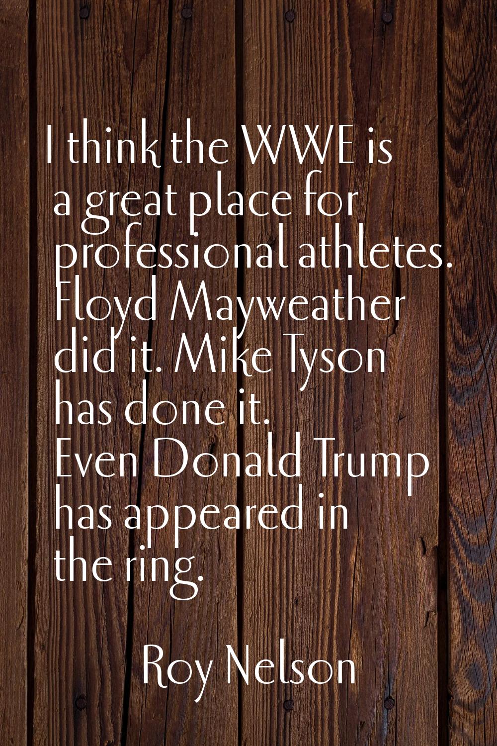I think the WWE is a great place for professional athletes. Floyd Mayweather did it. Mike Tyson has