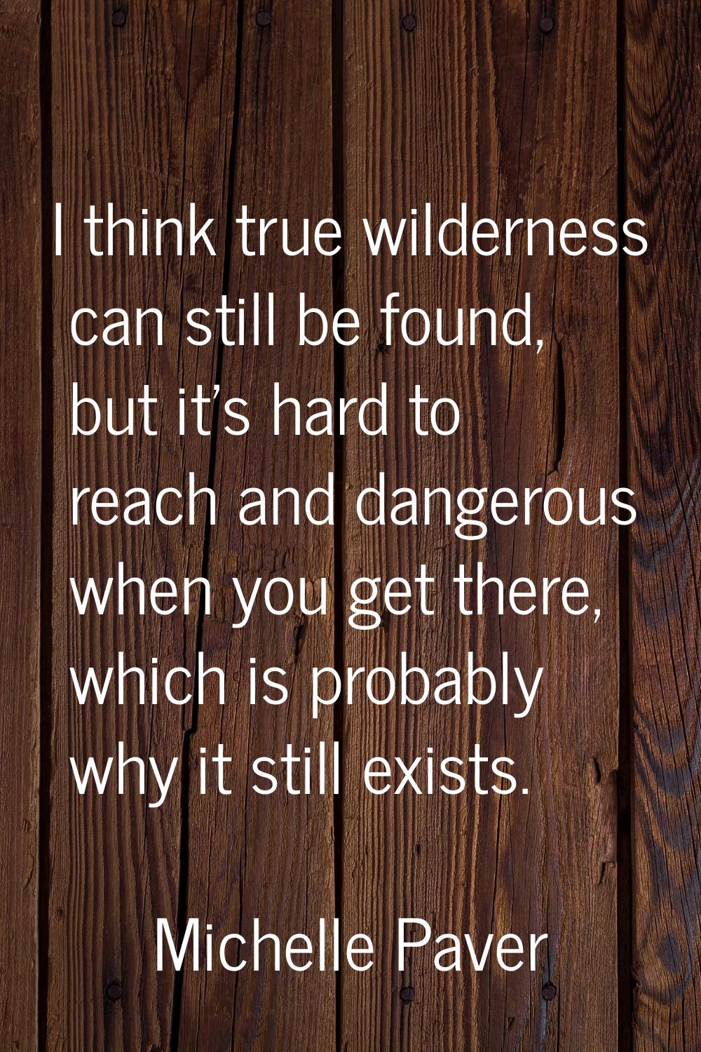 I think true wilderness can still be found, but it's hard to reach and dangerous when you get there