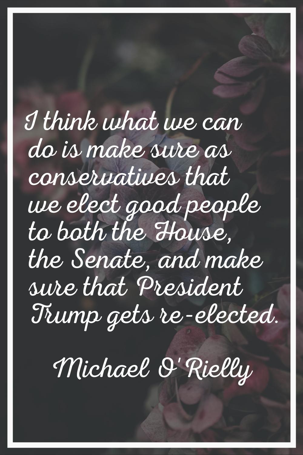 I think what we can do is make sure as conservatives that we elect good people to both the House, t
