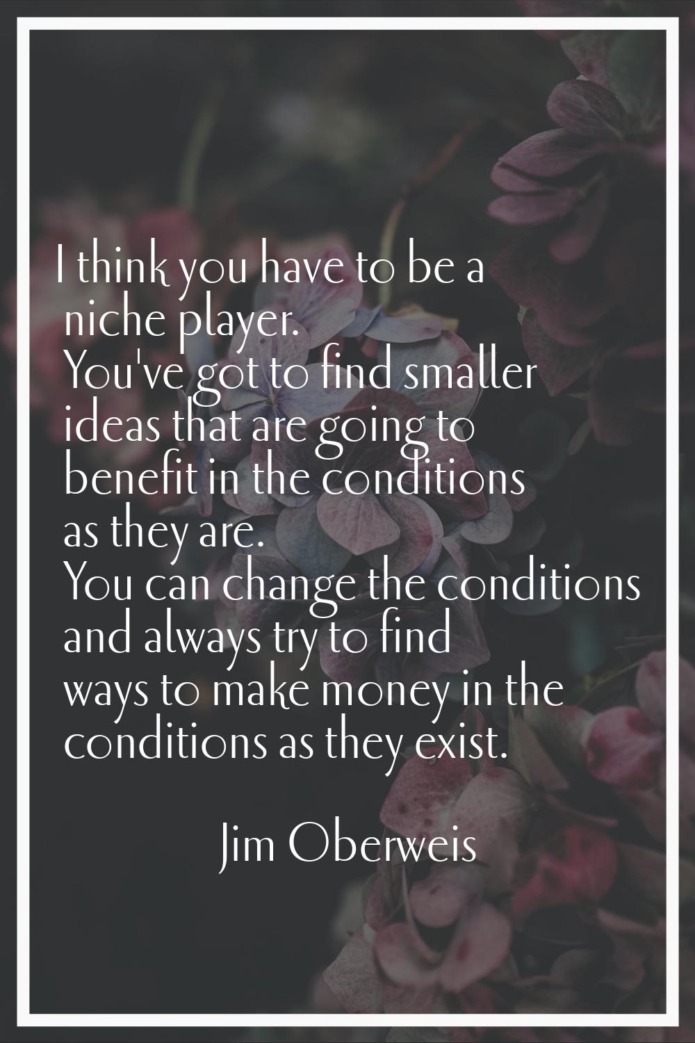I think you have to be a niche player. You've got to find smaller ideas that are going to benefit i