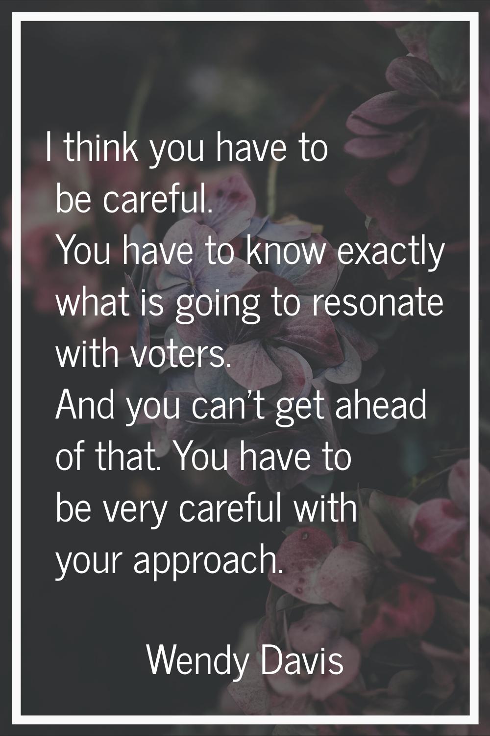 I think you have to be careful. You have to know exactly what is going to resonate with voters. And