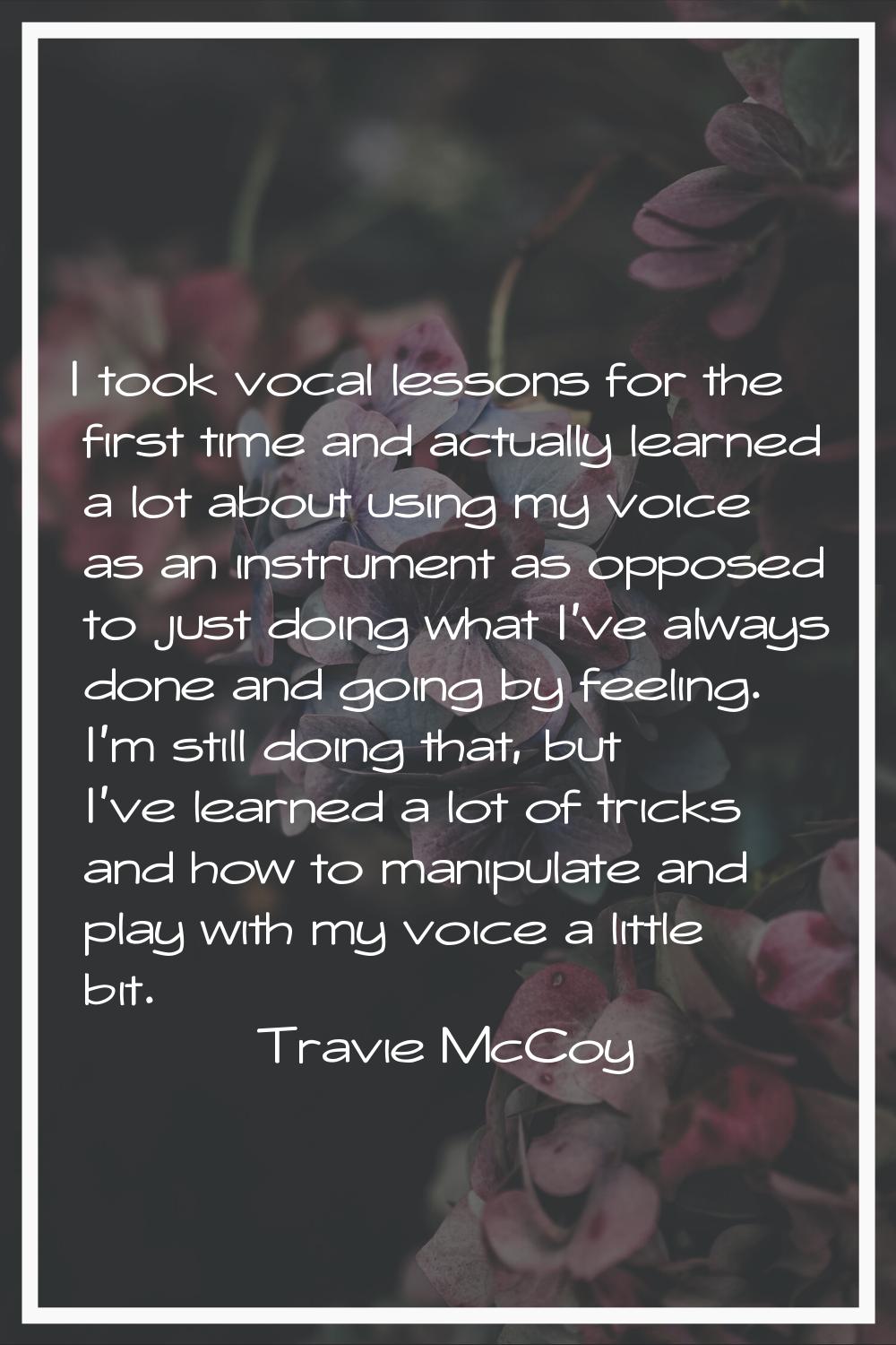 I took vocal lessons for the first time and actually learned a lot about using my voice as an instr