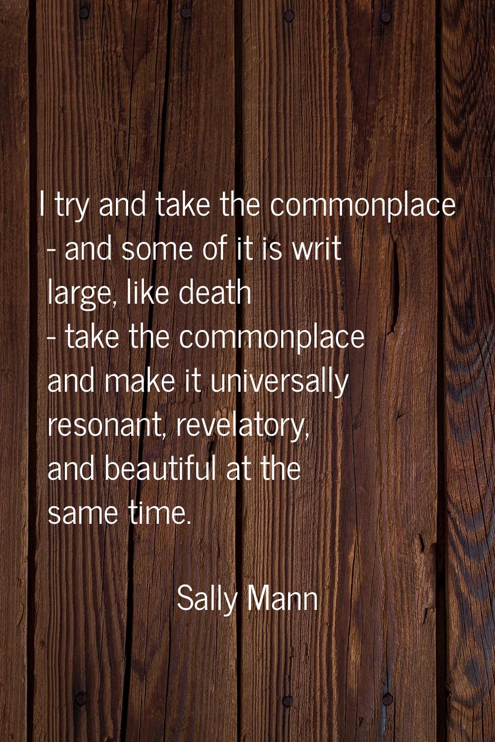 I try and take the commonplace - and some of it is writ large, like death - take the commonplace an