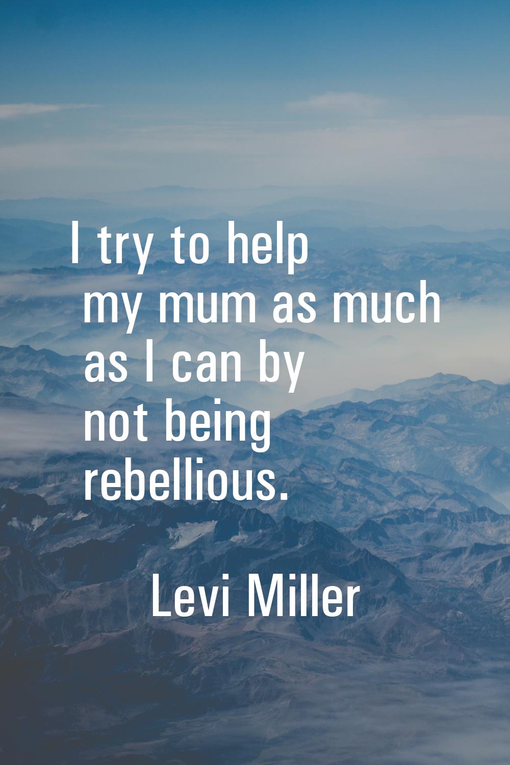 I try to help my mum as much as I can by not being rebellious.