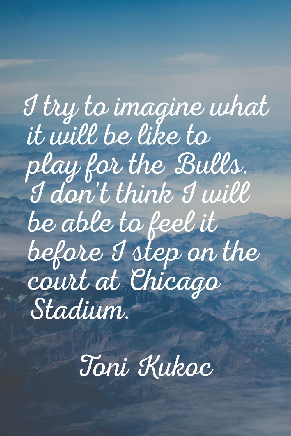 I try to imagine what it will be like to play for the Bulls. I don't think I will be able to feel i