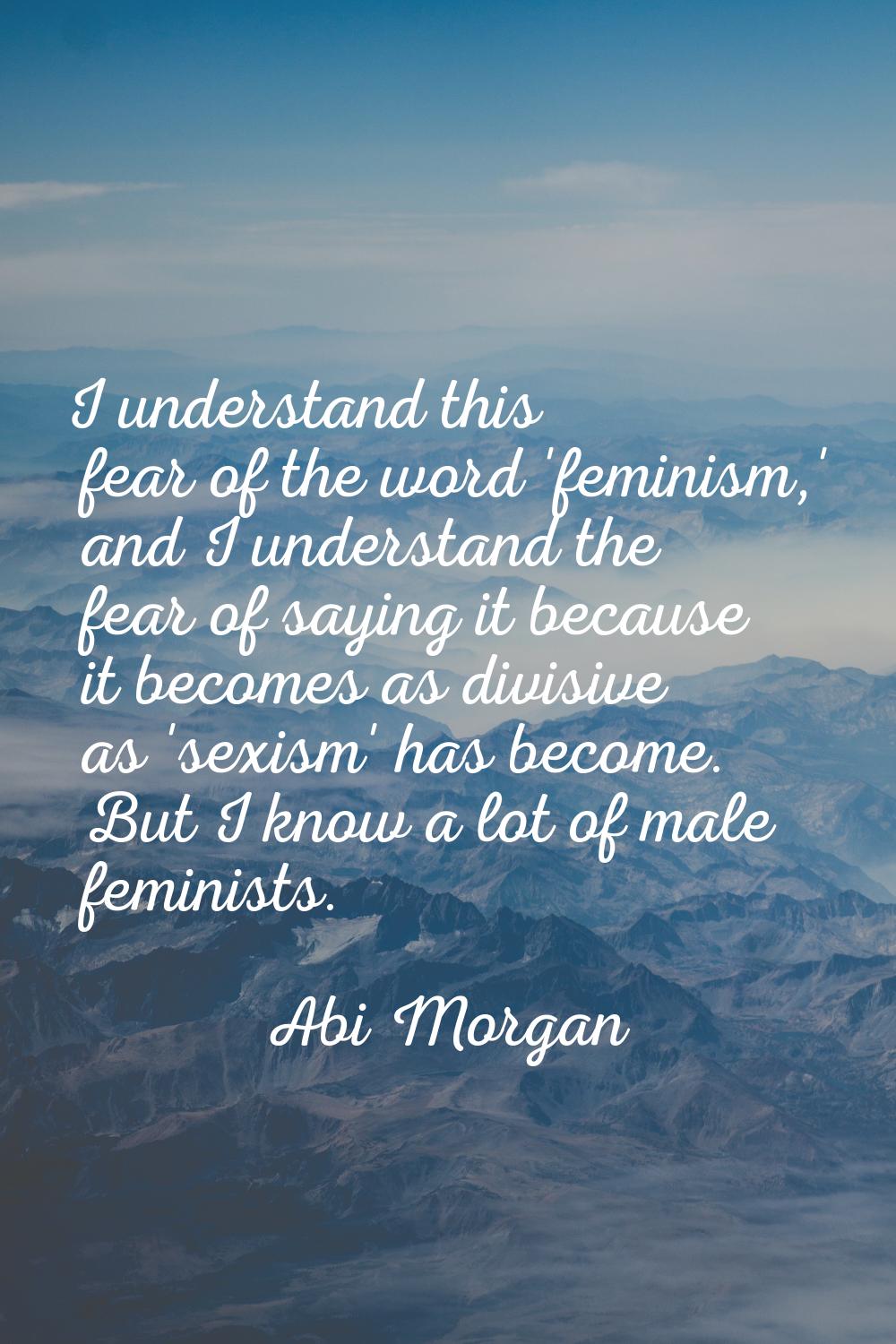I understand this fear of the word 'feminism,' and I understand the fear of saying it because it be
