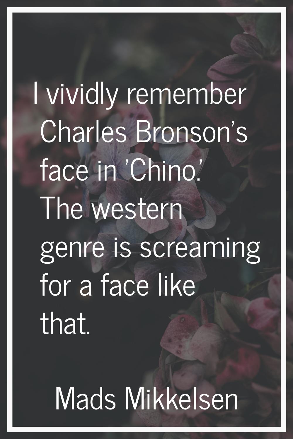 I vividly remember Charles Bronson's face in 'Chino.' The western genre is screaming for a face lik