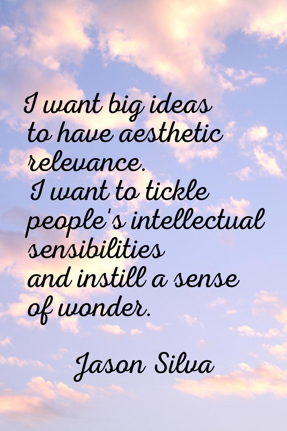 I want big ideas to have aesthetic relevance. I want to tickle people's intellectual sensibilities 