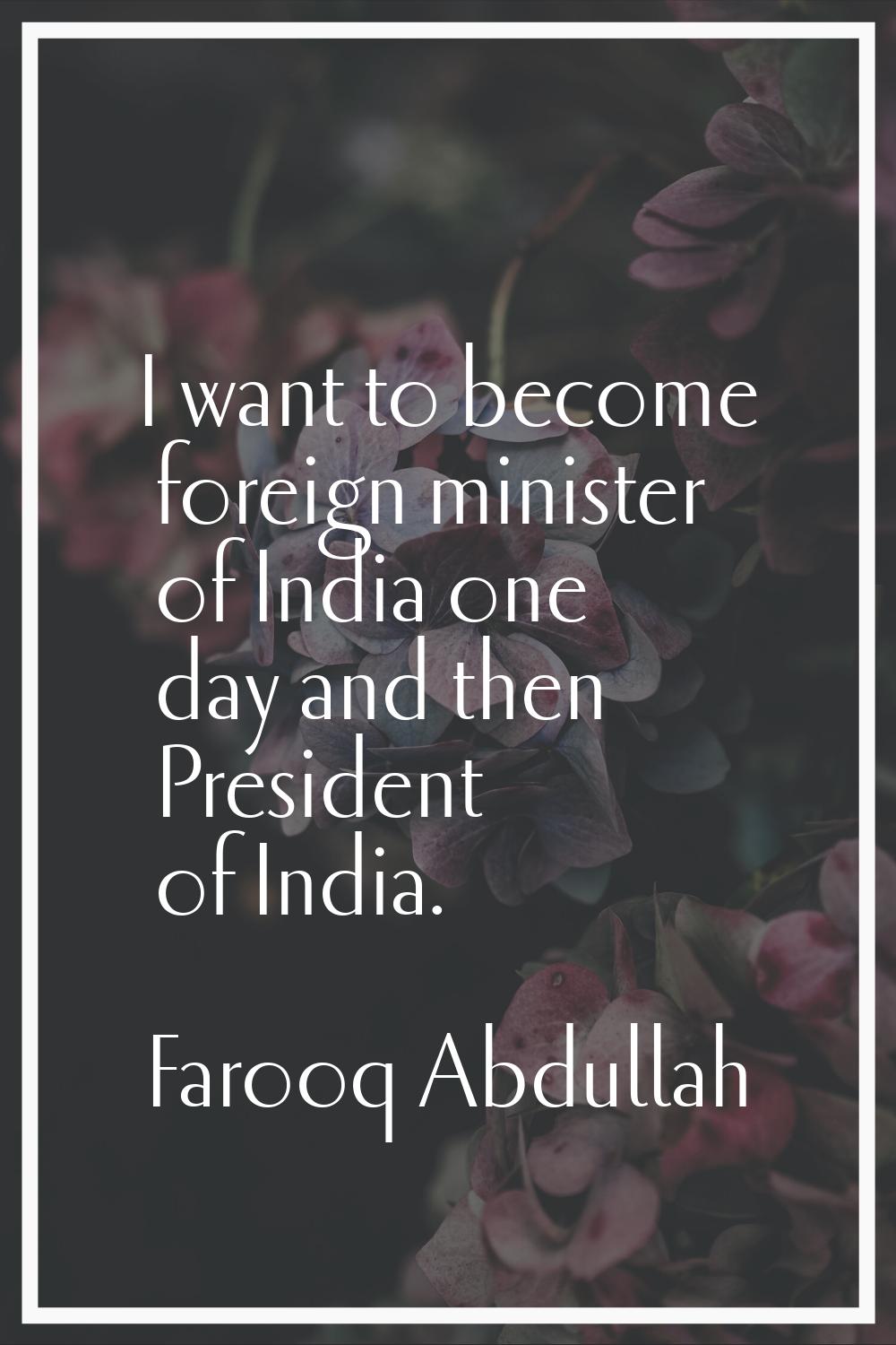 I want to become foreign minister of India one day and then President of India.