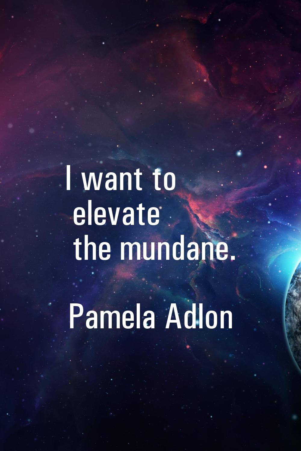 I want to elevate the mundane.