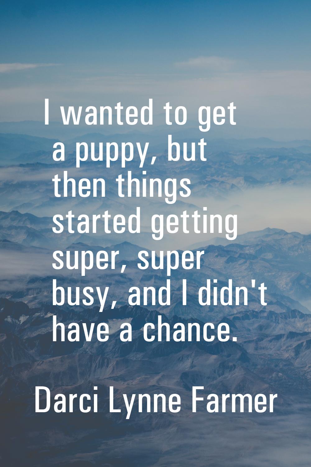 I wanted to get a puppy, but then things started getting super, super busy, and I didn't have a cha
