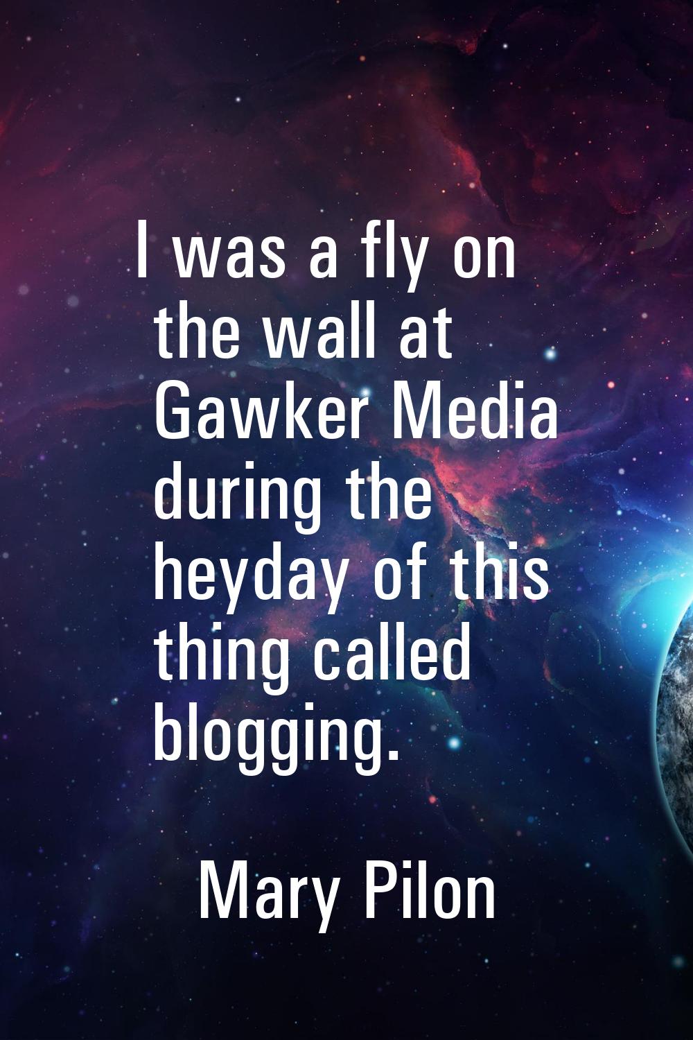I was a fly on the wall at Gawker Media during the heyday of this thing called blogging.