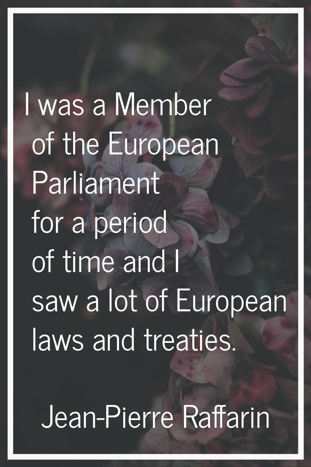 I was a Member of the European Parliament for a period of time and I saw a lot of European laws and