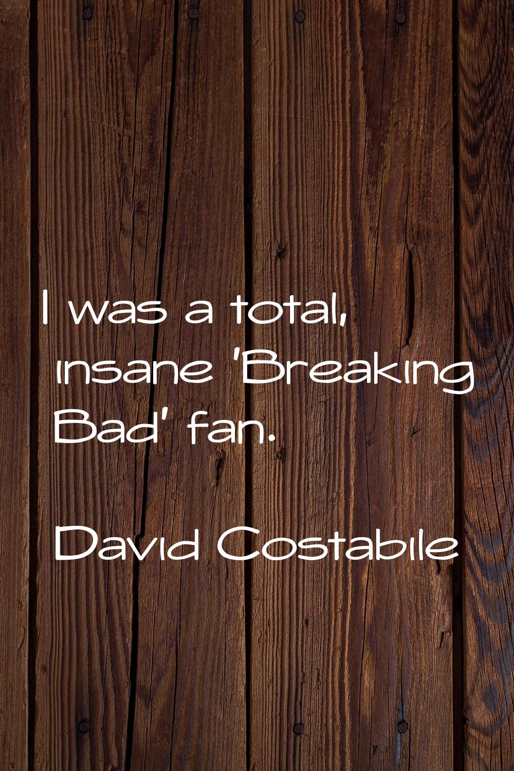 I was a total, insane 'Breaking Bad' fan.