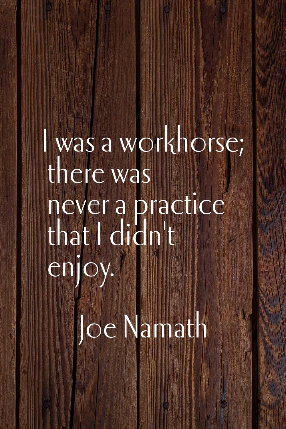 I was a workhorse; there was never a practice that I didn't enjoy.