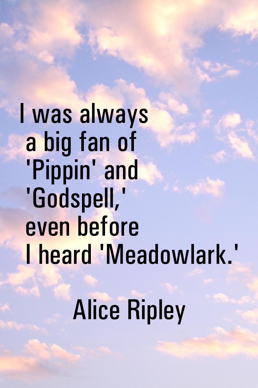 I was always a big fan of 'Pippin' and 'Godspell,' even before I heard 'Meadowlark.'