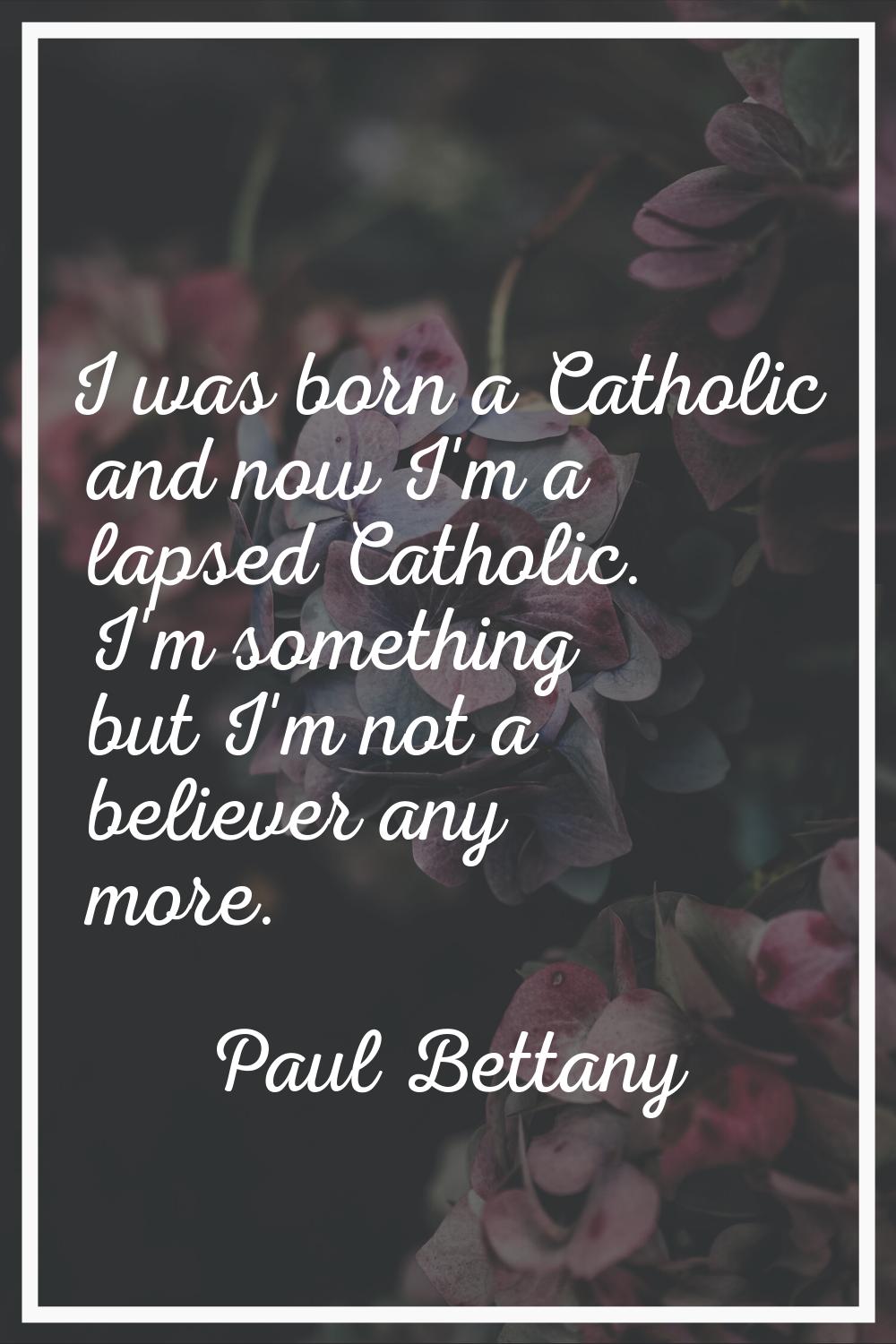 I was born a Catholic and now I'm a lapsed Catholic. I'm something but I'm not a believer any more.