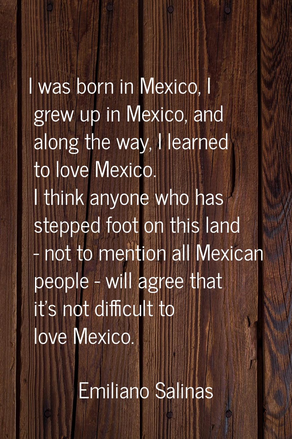 I was born in Mexico, I grew up in Mexico, and along the way, I learned to love Mexico. I think any