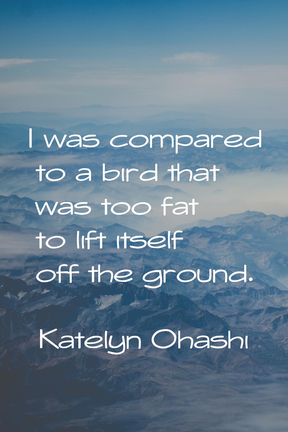 I was compared to a bird that was too fat to lift itself off the ground.