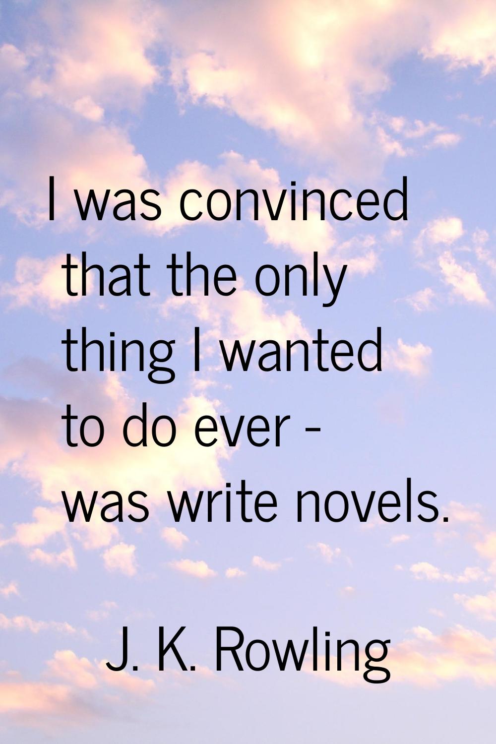 I was convinced that the only thing I wanted to do ever - was write novels.